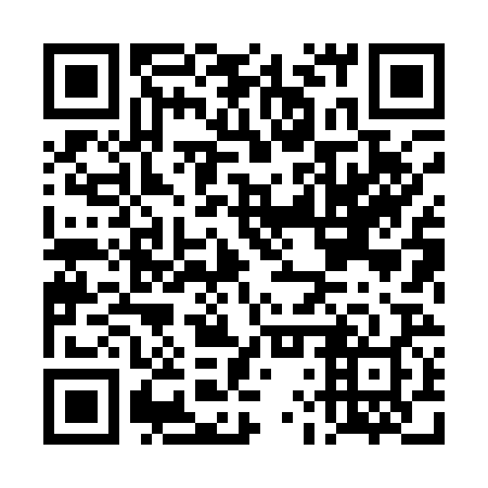 QR code for plate DLX 128