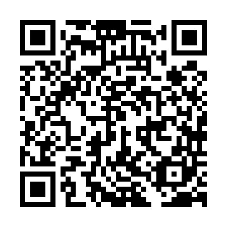 QR code for plate DLX 540