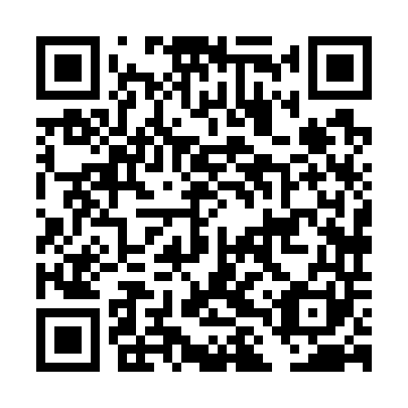 QR code for plate DLX 741