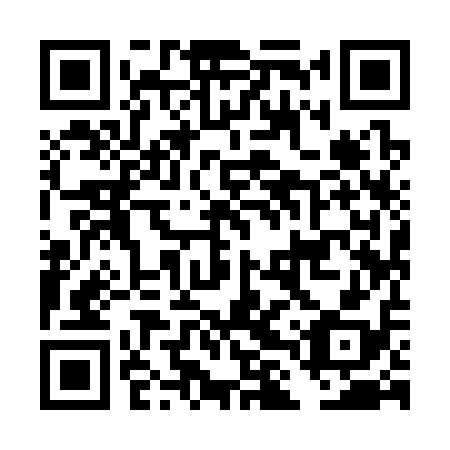 QR code for plate DLY 318