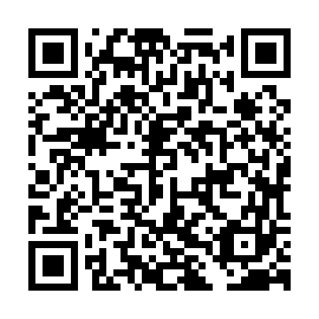 QR code for DLZ 163