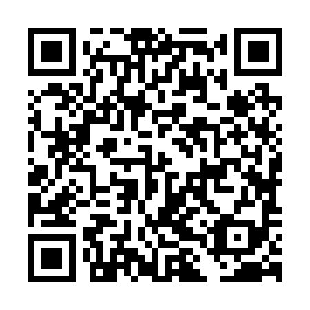 QR code for DLZ 299
