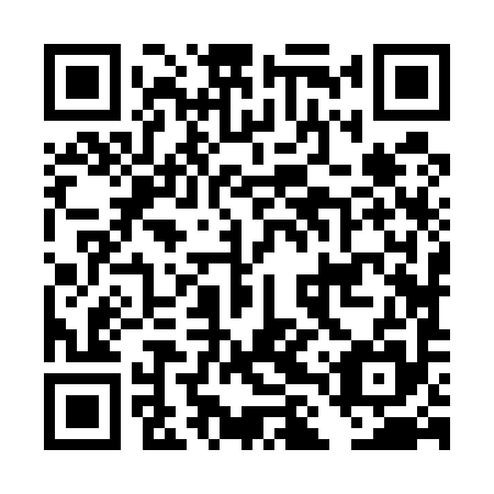 QR code for DLZ 595