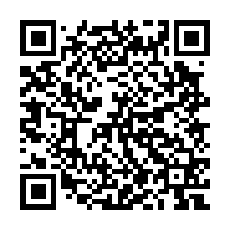 QR code for DM 0060