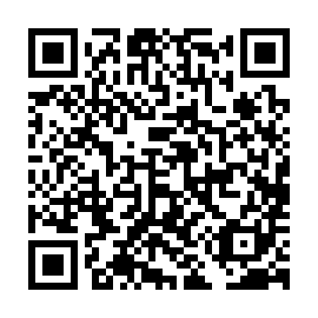 QR code for DM 0381