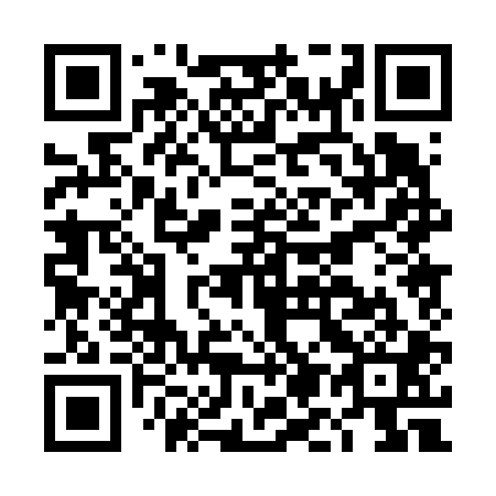QR code for DM 0601