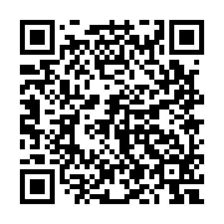 QR code for DM 1196