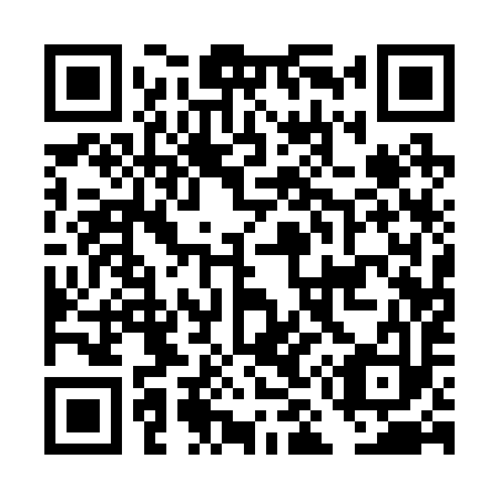 QR code for DM 1293