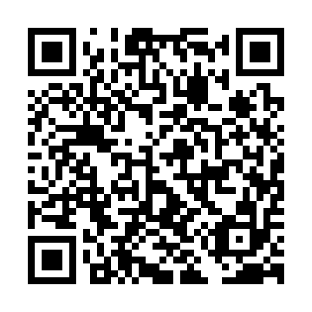 QR code for DM 1312