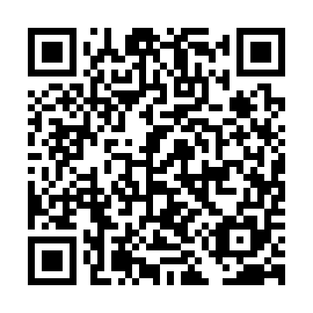 QR code for DM 1355
