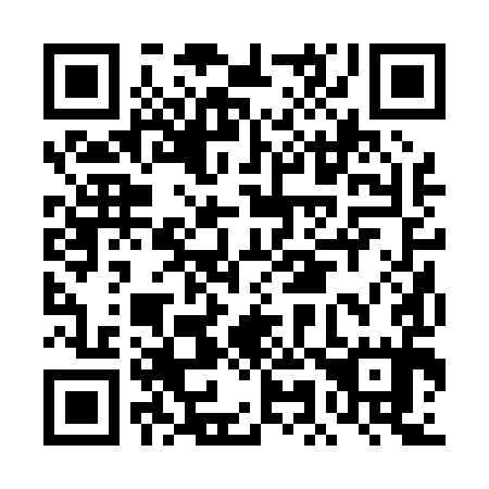 QR code for DM 2095