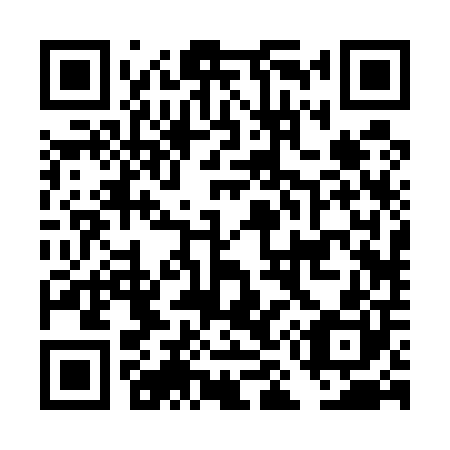 QR code for DM 2500