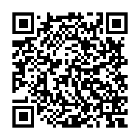 QR code for DM 2869