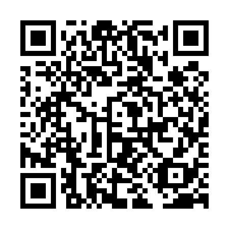 QR code for DM 3538