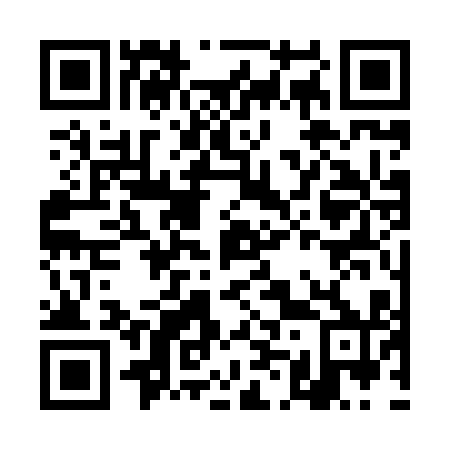 QR code for DM 3810