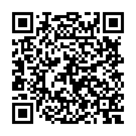 QR code for DM 3851