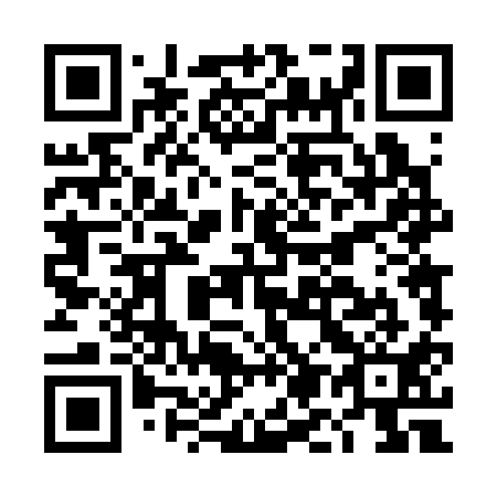 QR code for DM 4311