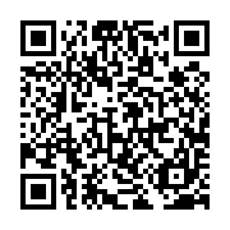 QR code for DM 4597