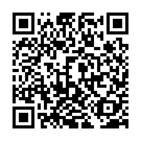 QR code for DM 6309