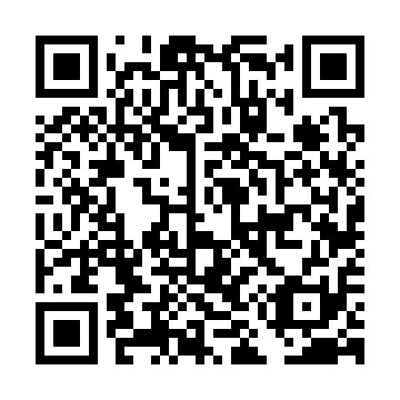 QR code for DM 6311