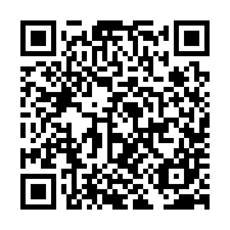 QR code for DM 6387