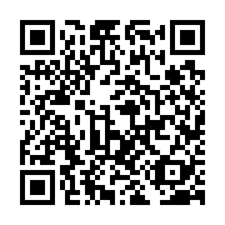 QR code for DM 6729