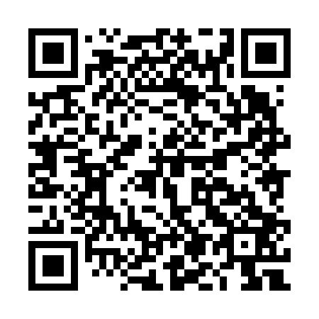 QR code for DM 8603