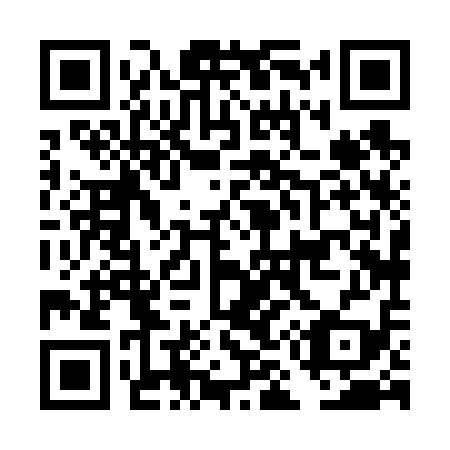 QR code for DM 8619