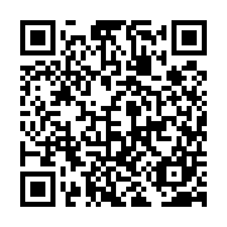 QR code for DM 9507