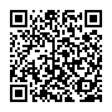 QR code for DM 9519