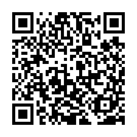 QR code for DM 9641