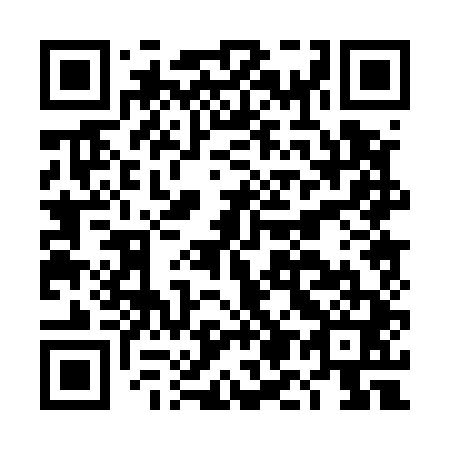 QR code for plate DM 0541