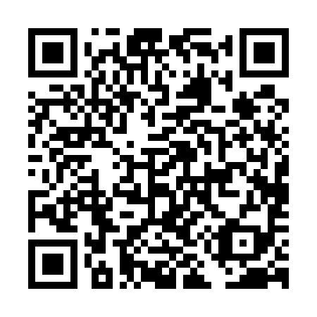 QR code for DM0599