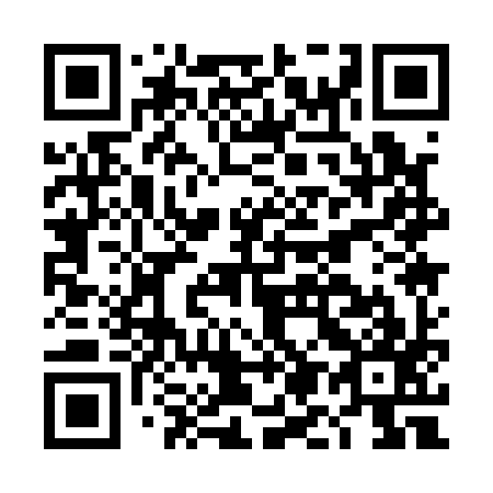 QR code for DM1197