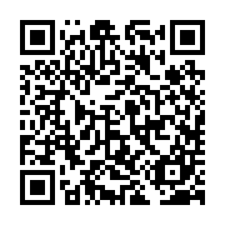 QR code for DM2207
