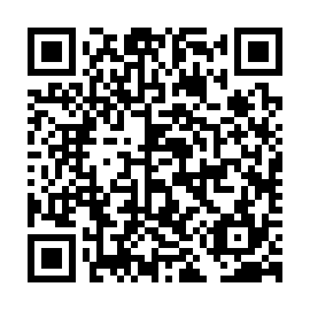 QR code for DM2334