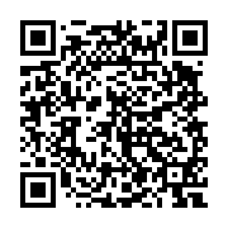 QR code for plate DM 2490