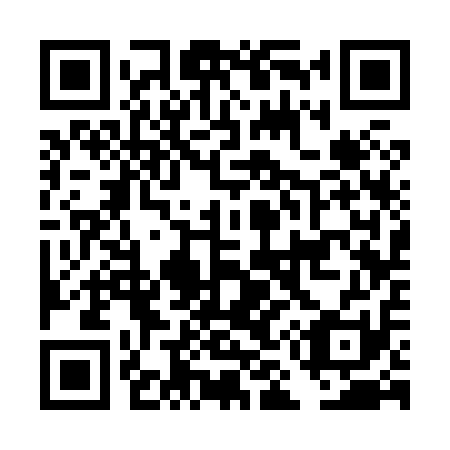 QR code for DM3811