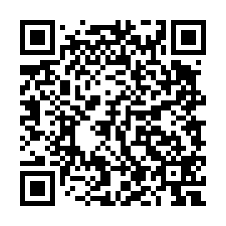 QR code for DM4419