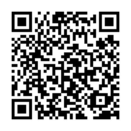 QR code for plate DM 7699