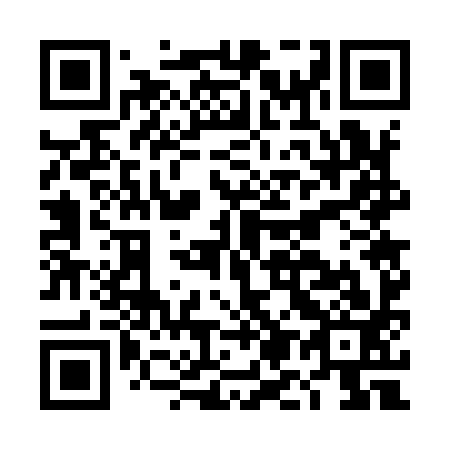 QR code for DM7993