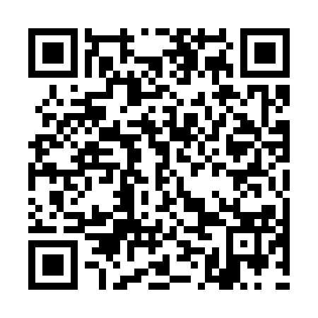 QR code for plate DMA 313