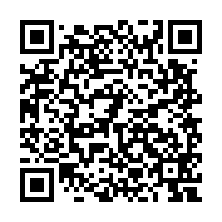 QR code for DMB 599