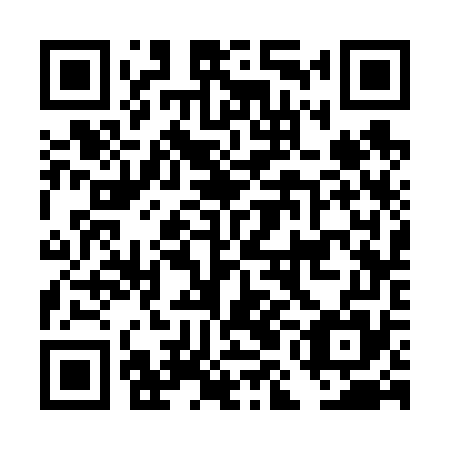 QR code for plate DMC 675