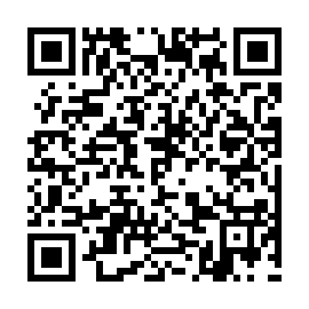 QR code for plate DMC 717