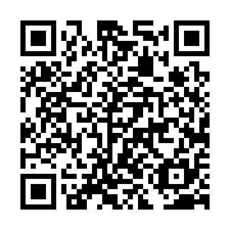 QR code for DMD 315