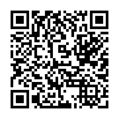 QR code for DMD 391