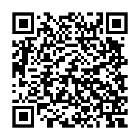 QR code for DMD463