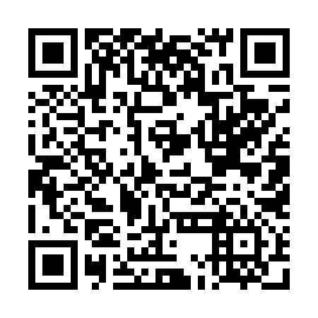 QR code for plate DME 496