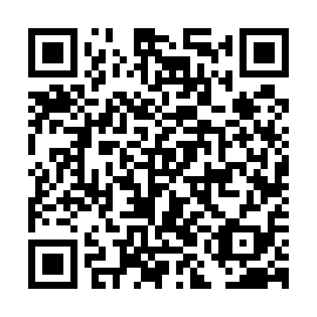 QR code for DMF519